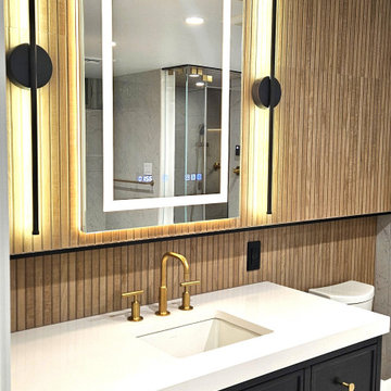 Modern Basement Spa Bathroom