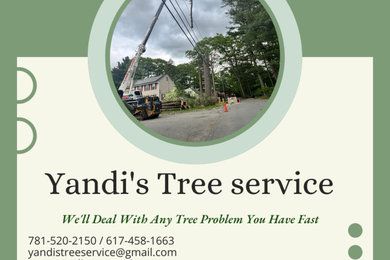 Tree service