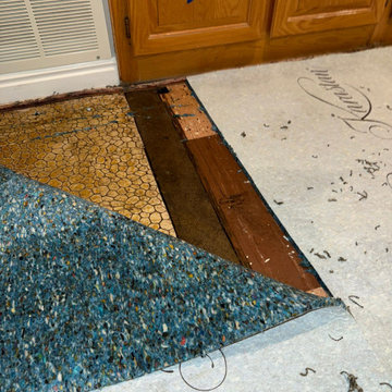 Waters Abatement & Repairs