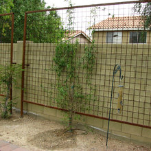 Trellis