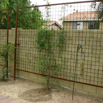 Custom Steel Trellises