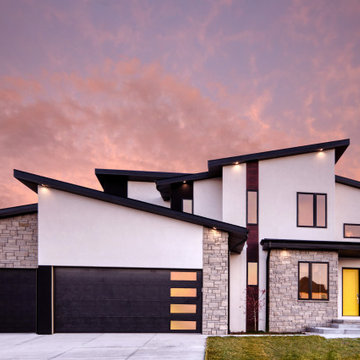 Modern Oasis