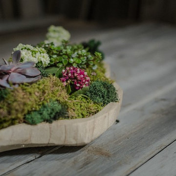 Rustic Haven