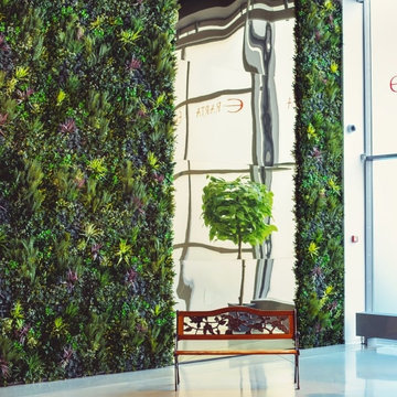 Faux Green Walls in Art Museum