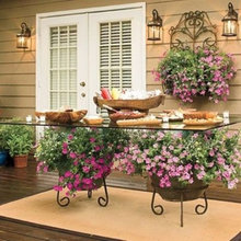 Exterior Ideas