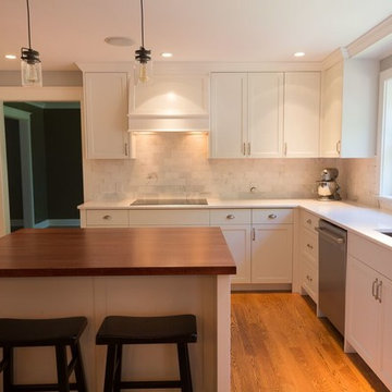 Blue Bell Kitchen Renovation