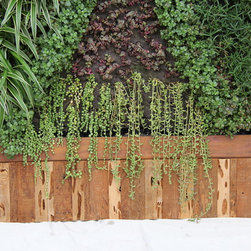 Living Wall System Residential - Artwork