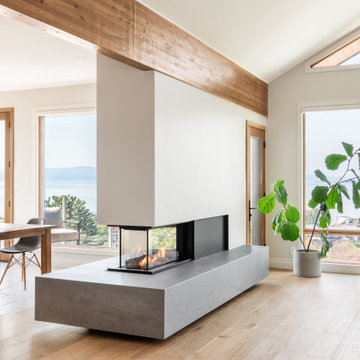 Three-Sided Concrete Fireplace – Living Room Renovation, Victoria BC