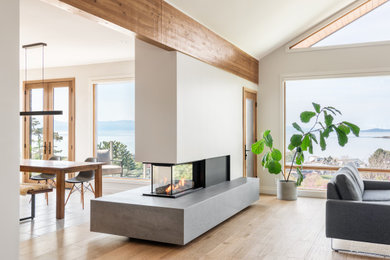 Inspiration for a huge modern light wood floor living room remodel in Other with a two-sided fireplace and a concrete fireplace