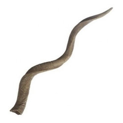 Blonde Curved Kudu Horn | Pulp Home - Home Decor
