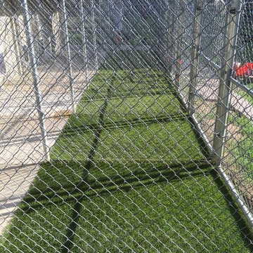 Tails of Texas, Dogie Daycare