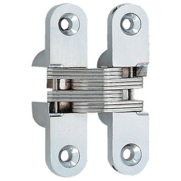 Susgatsune R60 Stainless Steel Concealed Mortise Hinge 13x60mm