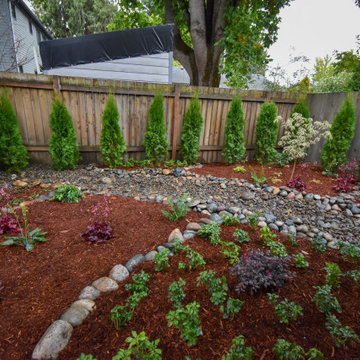 Dry Creek Bed