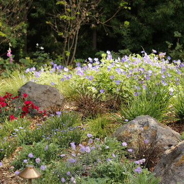 PETITE WILD MEADOW