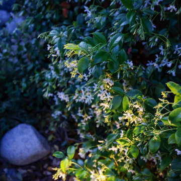 Tranquility Pond with Garden Wall