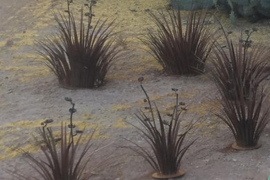 Photo of a rustic landscaping in Phoenix.