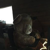 Matt Darcy's photo