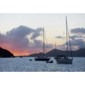 Lori Morrissey's photo