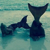 Foto de Cyndi Whitcher
