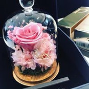 Vivian Yeung's photo