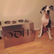 Jake Newton's photo