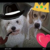Ana Nieto's photo