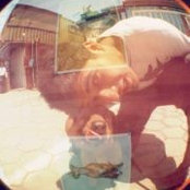 Bruno Toledo's photo