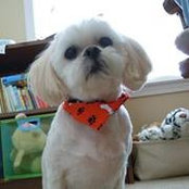 Sharon Lambert's photo