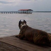 Milva Vazquez's photo
