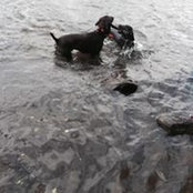 Polina Alber's photo