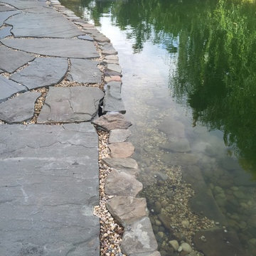 Natural Swimming Pool