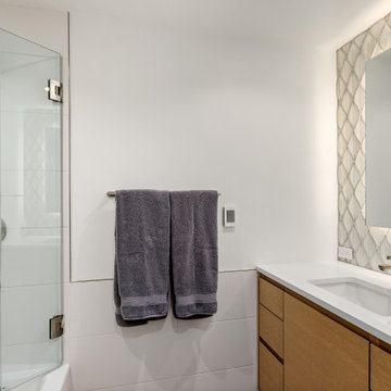 Downtown Aspen Modern - Remodel