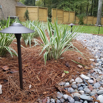 Landscape Perspectives 2018-2020
