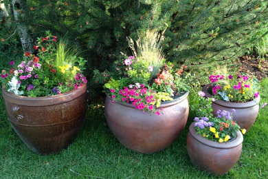 Design ideas for a traditional landscaping in Other.