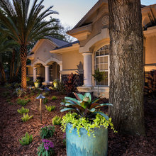 Front Yard Landscape