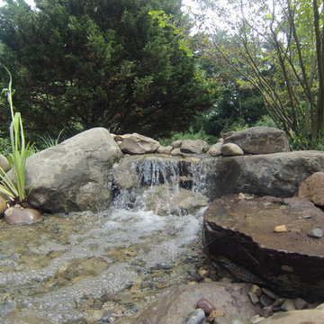 Pond Renovation