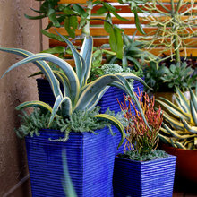 Containers