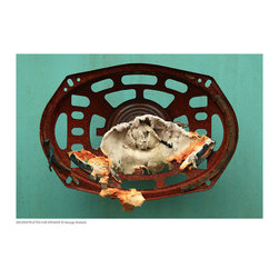 RUSTED RELICS - Products