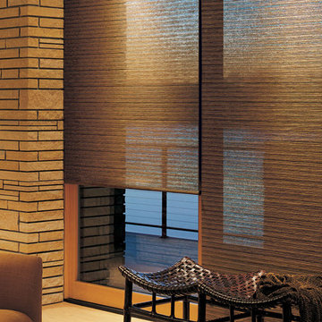 Hunter Douglas Designer Screen Shades