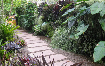 From the Pros: Expert Tips on Creating a Vertical Garden