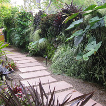 narrower side yard