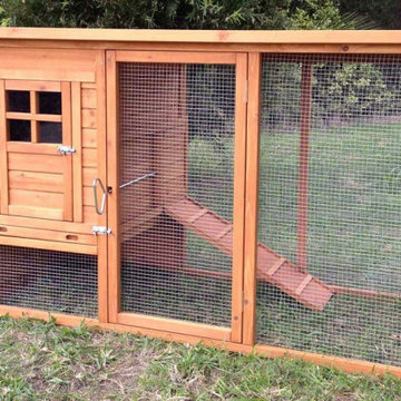 Redefining Backyard Poultry: Exploring the Grandeur of Large Chicken Coops for F