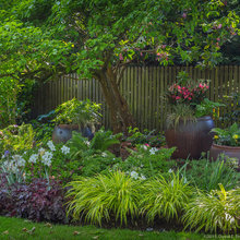 Landscape Ideas