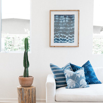 Coastal Blue Living Room with Potted Cactus
