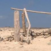 Anna Lynch's photo