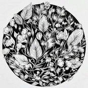 Kristina Shafikovaさんの写真