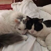 Judee Parish's photo