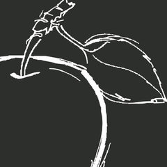 Wild Apple Graphics