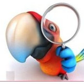 יוסי לזרוביץ's photo