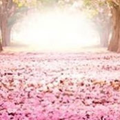 Jennifer Brady Parfitt's photo